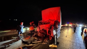 Şanlıurfa Yolunda Feci Kaza, 1 Ölü