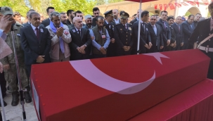 Şehit Amilağ, Şanlıurfa'da Gözyaşlarıyla Son Yolculuğuna Uğurlandı