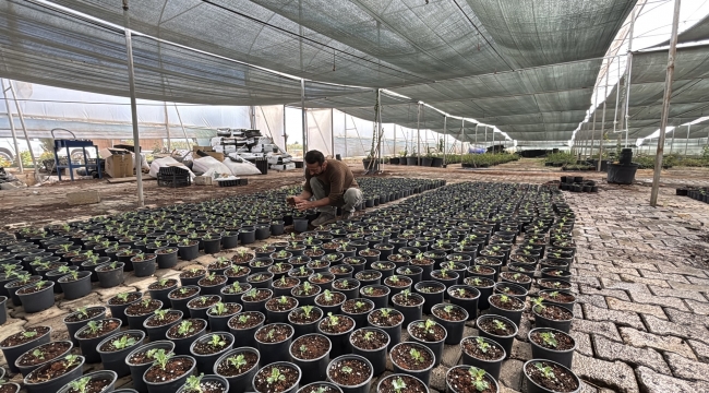 Sera Kent Üretiyor Eyyübiye Kazanıyor