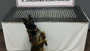 Siverek ve Eyyübiye'de Büyük Uyuşturucu Operasyonları