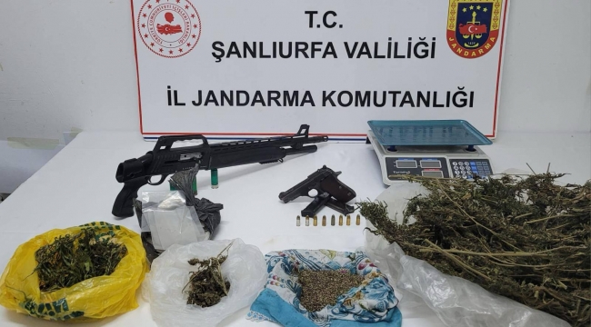 Suruç'ta Jandarmadan Zehir Tacirine Darbe!