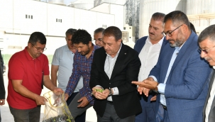 Vali Şıldak Gıda OSB'de 