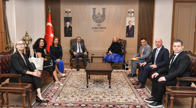 Vali Şıldak, İsveç Büyükelçisi ve UNDP Temsilcisini Ağırladı