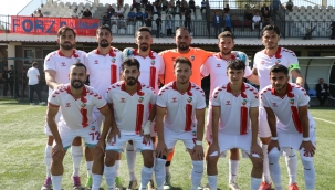 Viranşehir Belediyespor Evinde Kazandı: 1–0