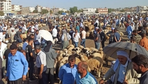 Viranşehir'de Ekonomiye Can Suyu: Hayvan Pazarı Açılıyor