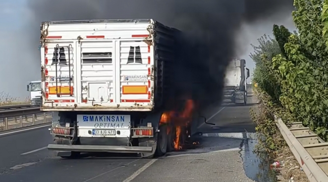 Viranşehir'de seyir halindeki kamyon alev aldı 