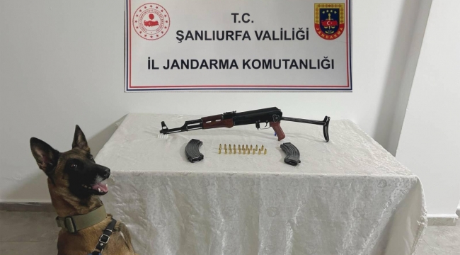 Birecik'te silah operasyonu 
