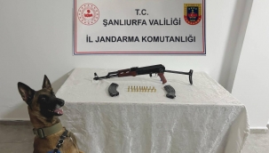 Birecik'te silah operasyonu 