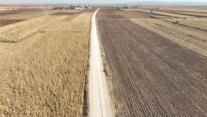  Büyükşehir, Suruç Kırsalında Yol Konforunu Artırıyor