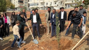 Halfeti'de Yüzlerce Fidan Toprakla Buluştu