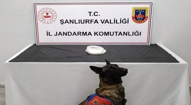 Haliliye'de uyuşturucu operasyonu, 2 gözaltı