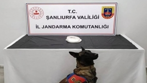 Haliliye'de uyuşturucu operasyonu, 2 gözaltı