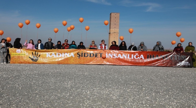 Harran'da Gökyüzüne 'Şiddete Dur' Mesajı: Turuncu Balonlar Uçtu