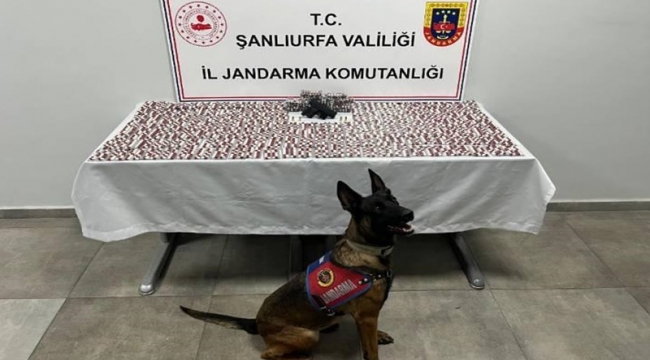 Şanlıurfa'da Büyük Narkotik Operasyonu: 2 Şüpheli Gözaltına Alındı