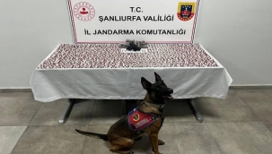 Şanlıurfa'da Büyük Narkotik Operasyonu: 2 Şüpheli Gözaltına Alındı