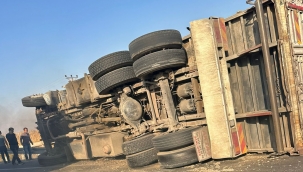 Şanlıurfa'da Pamuk Çekirdeği Yüklü Kamyon Devrildi