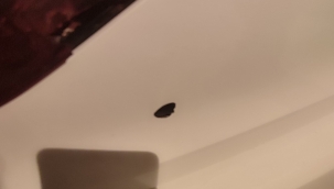 Şanlıurfa'da Park Halindeki Aracın Bagajına Mermi Isabet Etti