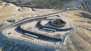 Şanlıurfa Hayvan Barınağında Köpeklerin Saldırısına Uğradı