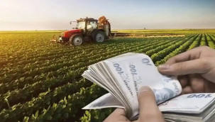 Şanlıurfalı Çiftçiler Ödemeler Bugün Hesaplarda