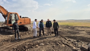 Viranşehir'de Arazi Toplulaştırma Çalışmaları Devam Ediyor