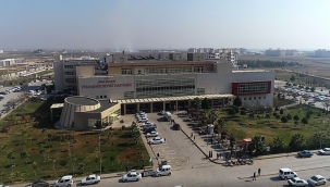 Viranşehir'de Tır İle Otomobil Çarpıştı: 6 Yaralı 