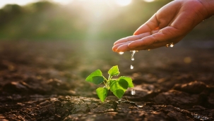 Yağışlar %60 Azaldı, Tarım Takvimi Değişti: Hububat Üretimi Tehdit Altında!