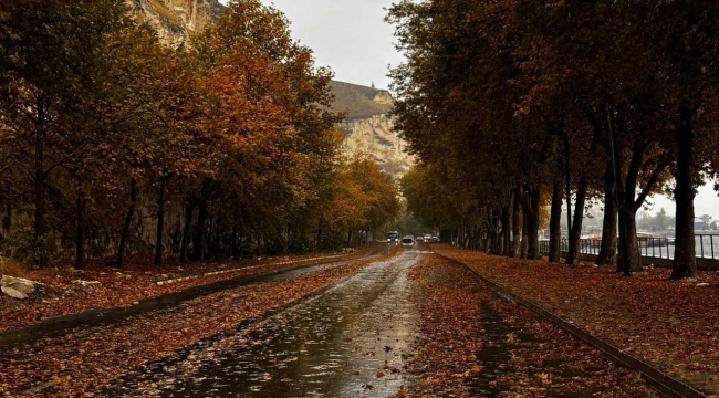 Birecik'te Sonbahar Büyüsü: Kelaynak Sahil Yolu Kartpostallık Manzaralar Sunuyor!