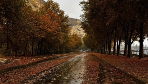 Birecik'te Sonbahar Büyüsü: Kelaynak Sahil Yolu Kartpostallık Manzaralar Sunuyor!