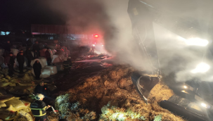 Eyyübiye'de Çiftlik Yangını: Dumandan Etkilenen Hayvanlar Kurtarıldı