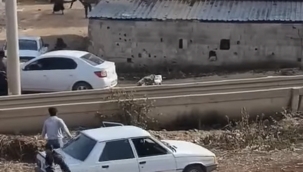 Eyyübiye'de çocuk kavgası, 5 yaralı 