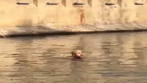 Eyyübiye'de Genç, Camiden Göle Atladı! 