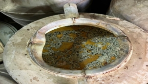 Eyyübiye'de Ton Kokuşmuş ve Küflü Zeytin Ele Geçirildi