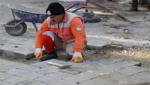 Haliliye Belediyesi 13 Ekip İle Sahada