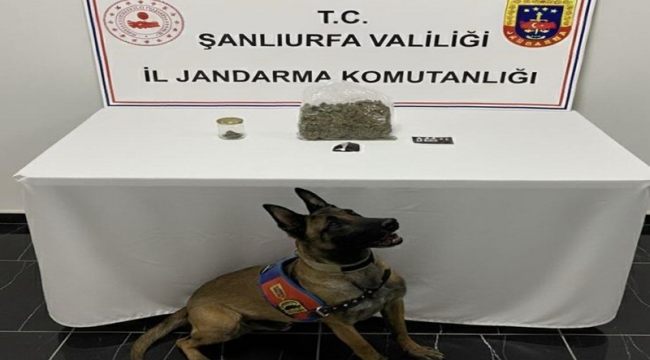 Haliliye'de Uyuşturucu Operasyonu