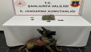 Haliliye'de Uyuşturucu Operasyonu