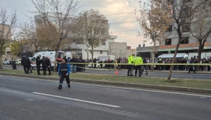 Siverek'te Trafik Kazası: Otomobilin Çarptığı Kadın Feci Şekilde Öldü