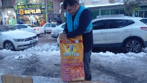 Soğuk Hava Koşullarında Can Dostları Belediye unutmadı