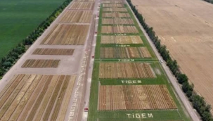 TİGEM'den Yılın En Büyük İş Alımı: 254 Sürekli İşçi Alınıyor!