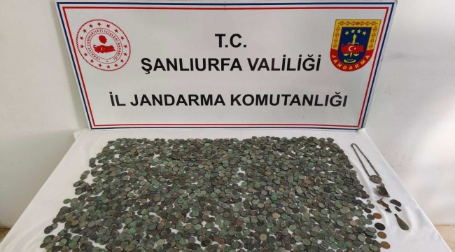 Ceylanpınar'da Kaçak Sikke Operasyonu