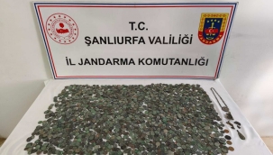 Ceylanpınar'da Kaçak Sikke Operasyonu