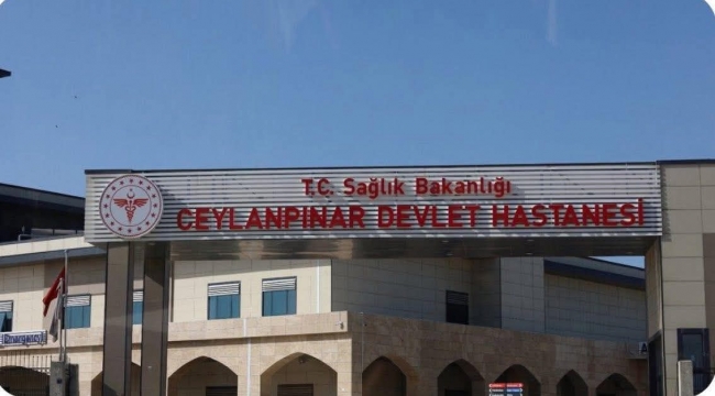 Ceylanpınar'da Otomobil Devrildi: 2 Yaralı