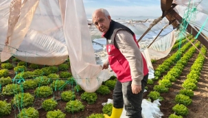 Eyyübiye'de Seralar Kar Altında Kaldı, Fiyatlar İkiye Katlandı