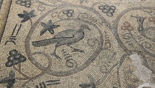 Halfeti'nin Sessiz Hazinesi: Yukarı Göklü Köyü Mozaiği