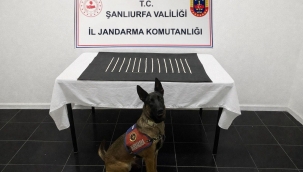 Harran'da Captagon Çetesi Çökertildi: 2 Gözaltı