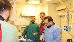 Harran Üniversitesi Hastanesi'nden Bölgede Bir İlk: Aort Anevrizmasına Tam Kapalı Girişim