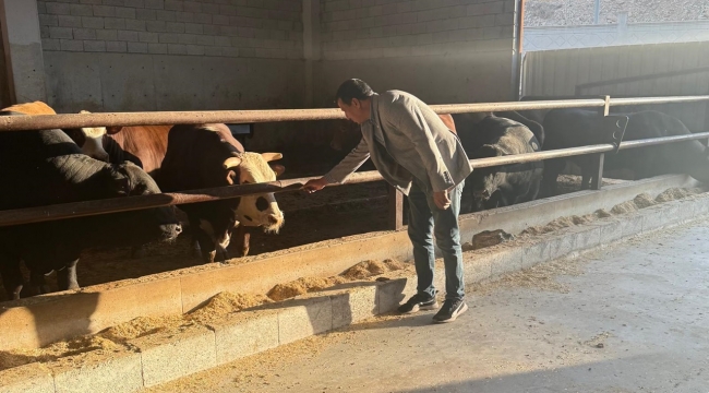 Şanlıurfa'da Besi OSB sevinci yaşanıyor.