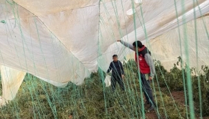 Şanlıurfa'da Karın Ardından Büyük Kayıp