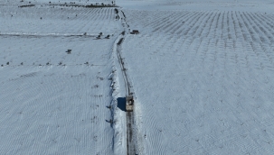 Şanlıurfa'da Karla Kapanan 4 Bin 500 Kilometrelik Yol Ulaşıma Açıldı