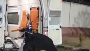 Şanlıurfa'da kazada kaybolan sürücü Suriye'de bulundu!