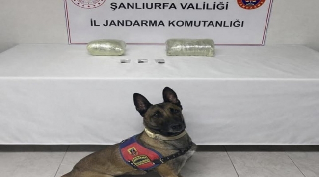 Siverek'te Narkotik Operasyonu: 1 Kişi Yakalandı